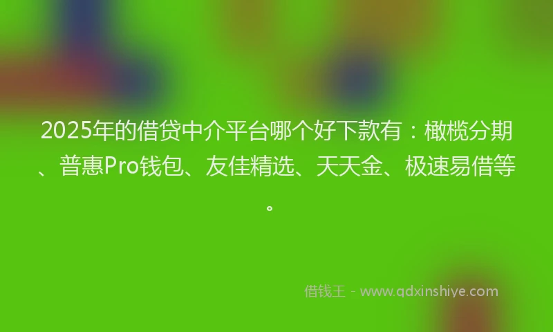 2025年的借贷中介平台哪个好下款有：橄榄分期、普惠Pro钱包、友佳精选、天天金、极速易借等。