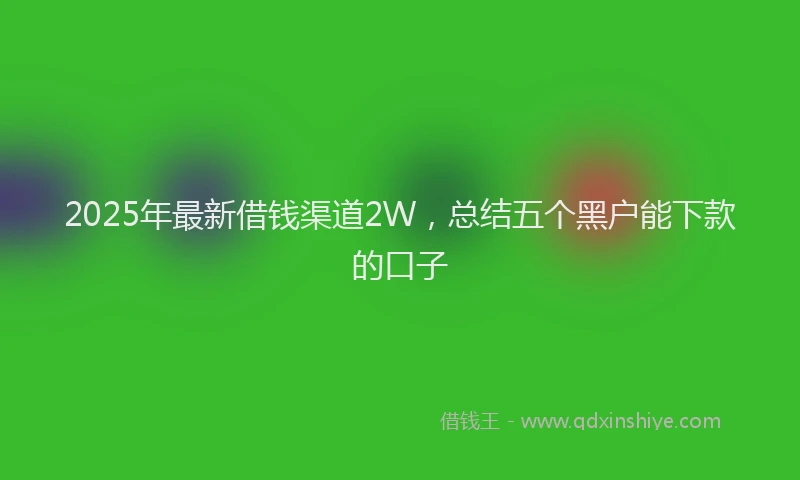 2025年最新借钱渠道2W，总结五个黑户能下款的口子