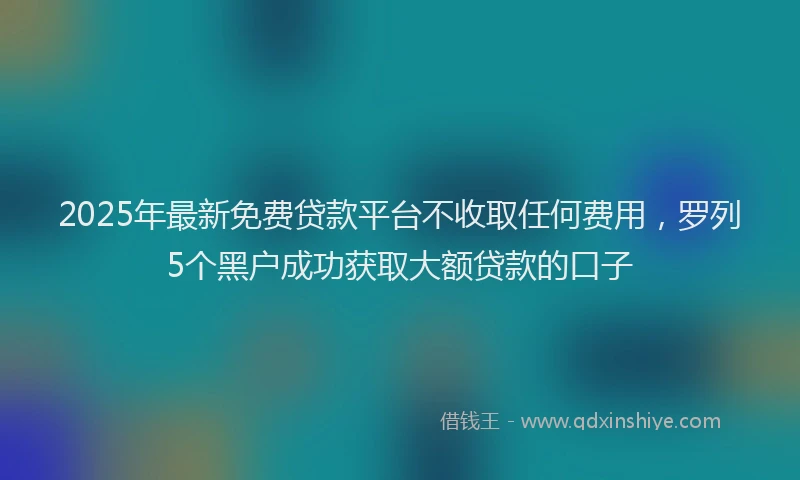 2025年最新免费贷款平台不收取任何费用，罗列5个黑户成功获取大额贷款的口子