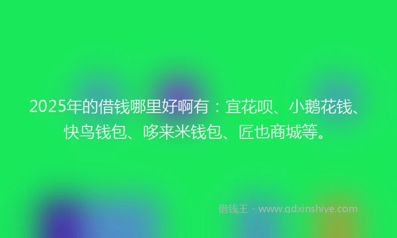 2025年的借钱哪里好啊有：宜花呗、小鹅花钱、快鸟钱包、哆来米钱包、匠也商城等。