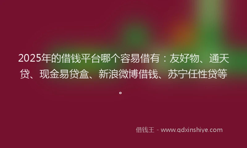 2025年的借钱平台哪个容易借有：友好物、通天贷、现金易贷盒、新浪微博借钱、苏宁任性贷等。