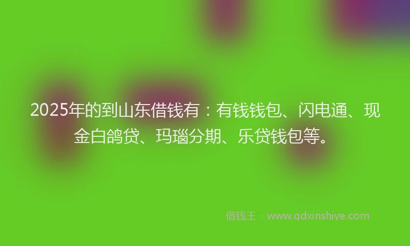 2025年的到山东借钱有：有钱钱包、闪电通、现金白鸽贷、玛瑙分期、乐贷钱包等。