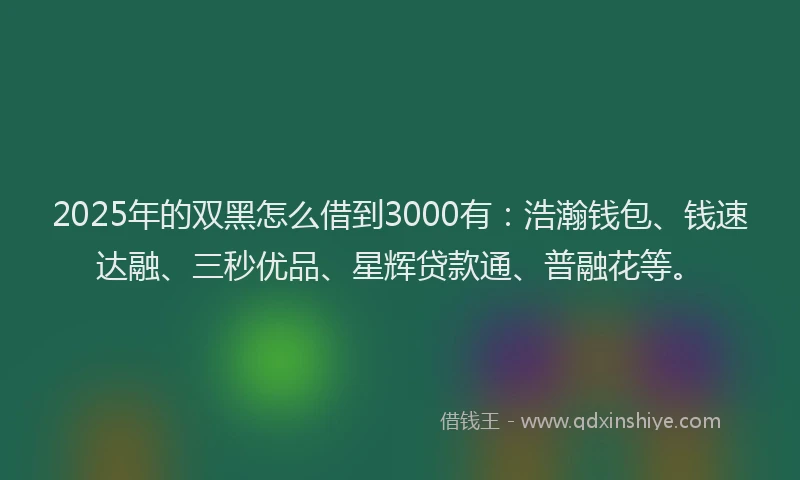 2025年的双黑怎么借到3000有：浩瀚钱包、钱速达融、三秒优品、星辉贷款通、普融花等。