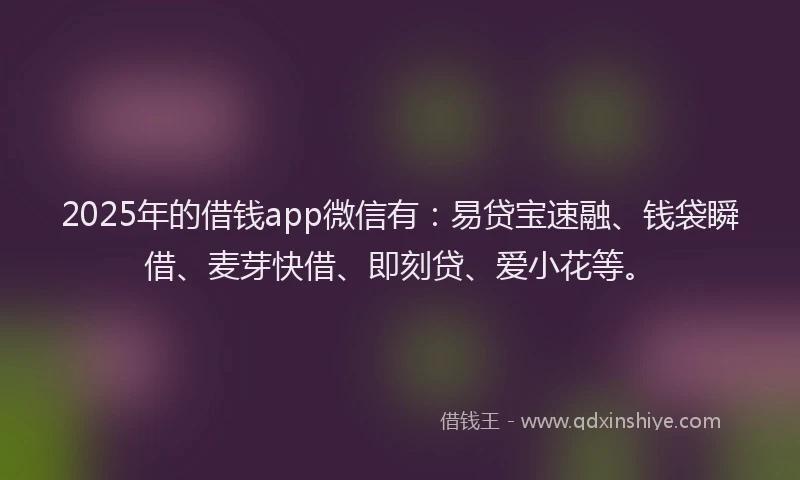 2025年的借钱app微信有：易贷宝速融、钱袋瞬借、麦芽快借、即刻贷、爱小花等。
