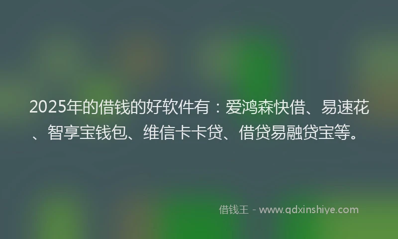 2025年的借钱的好软件有：爱鸿森快借、易速花、智享宝钱包、维信卡卡贷、借贷易融贷宝等。