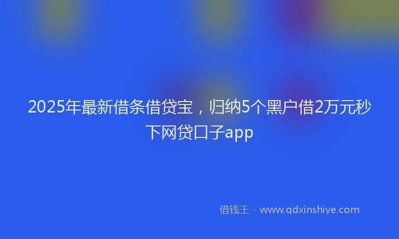 2025年最新借条借贷宝，归纳5个黑户借2万元秒下网贷口子app