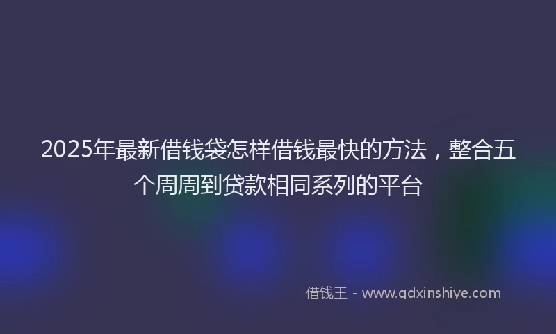 2025年最新借钱袋怎样借钱最快的方法，整合五个周周到贷款相同系列的平台