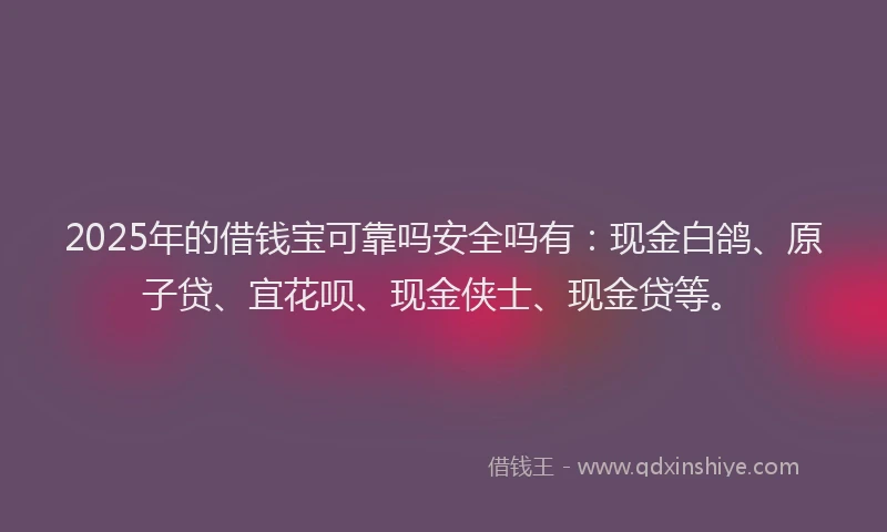 2025年的借钱宝可靠吗安全吗有：现金白鸽、原子贷、宜花呗、现金侠士、现金贷等。