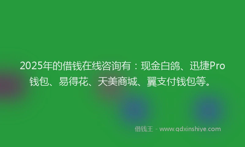 2025年的借钱在线咨询有：现金白鸽、迅捷Pro钱包、易得花、天美商城、翼支付钱包等。
