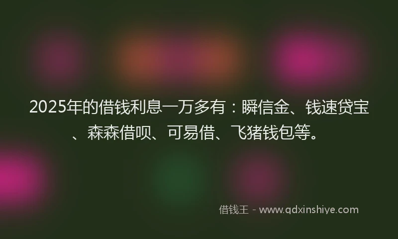 2025年的借钱利息一万多有：瞬信金、钱速贷宝、森森借呗、可易借、飞猪钱包等。