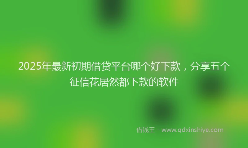 2025年最新初期借贷平台哪个好下款，分享五个征信花居然都下款的软件