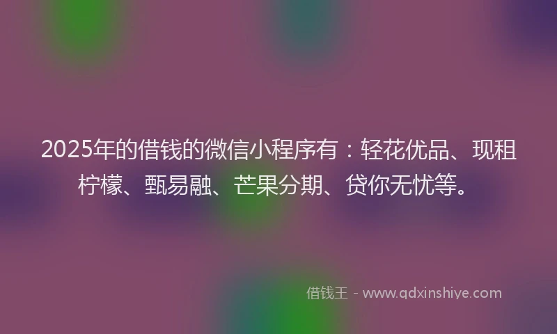 2025年的借钱的微信小程序有：轻花优品、现租柠檬、甄易融、芒果分期、贷你无忧等。
