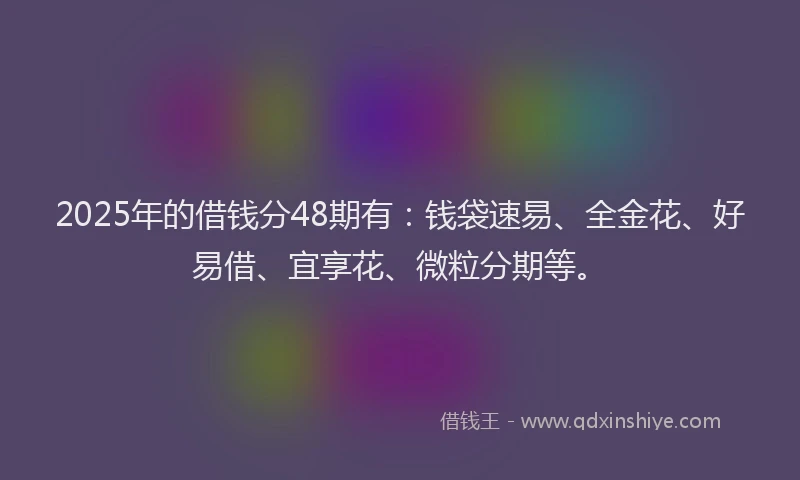2025年的借钱分48期有：钱袋速易、全金花、好易借、宜享花、微粒分期等。