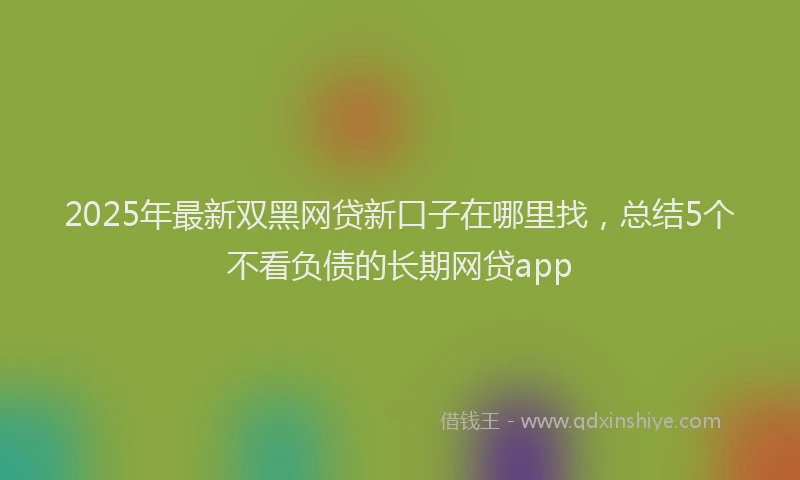 2025年最新双黑网贷新口子在哪里找，总结5个不看负债的长期网贷app