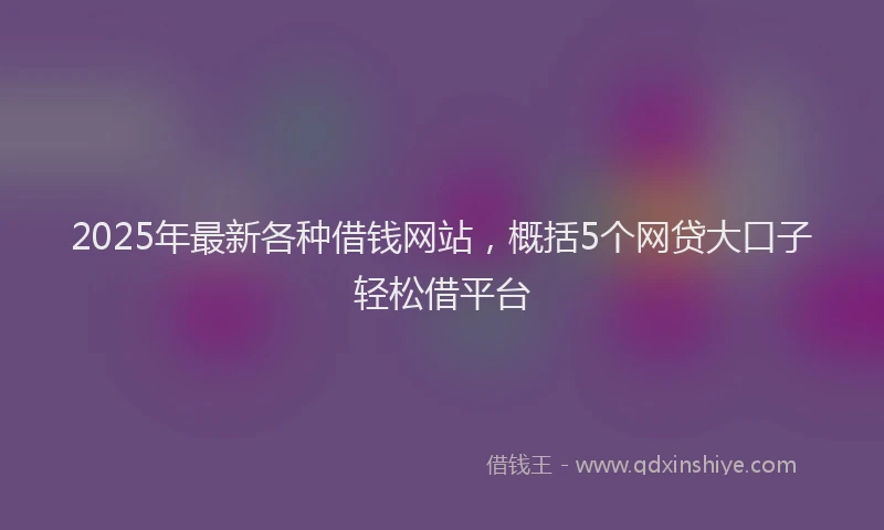 2025年最新各种借钱网站，概括5个网贷大口子轻松借平台