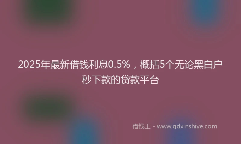 2025年最新借钱利息0.5%，概括5个无论黑白户秒下款的贷款平台