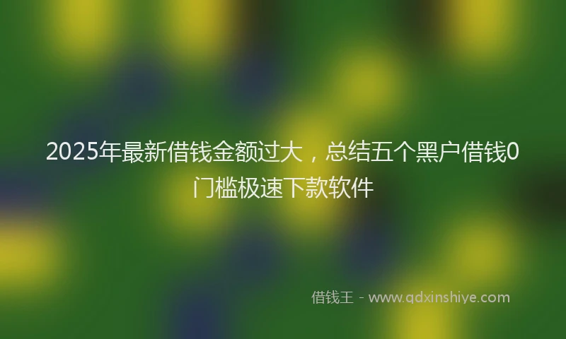 2025年最新借钱金额过大，总结五个黑户借钱0门槛极速下款软件