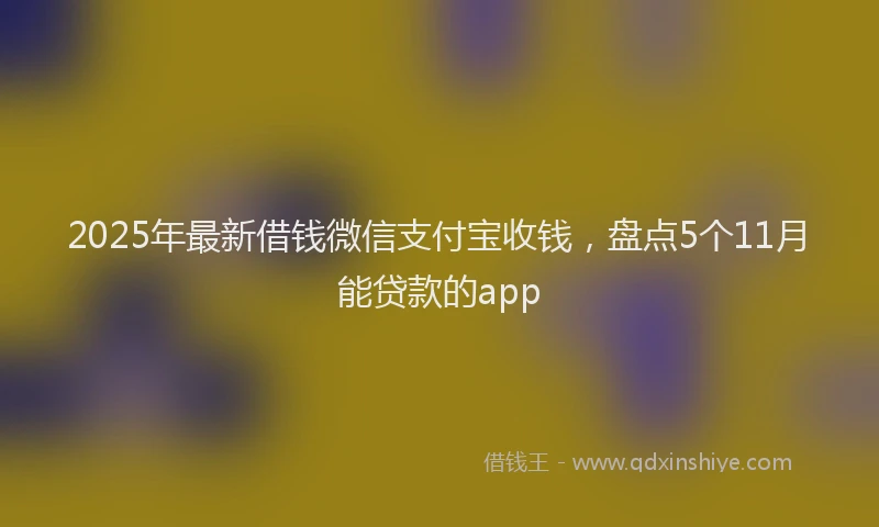 2025年最新借钱微信支付宝收钱，盘点5个11月能贷款的app
