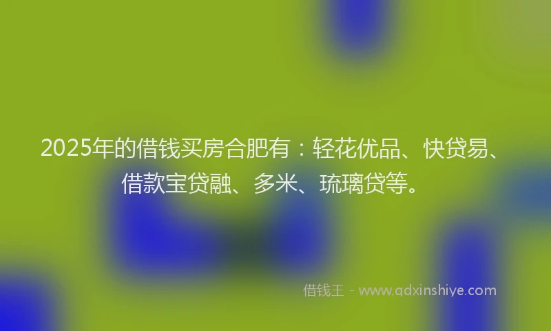 2025年的借钱买房合肥有：轻花优品、快贷易、借款宝贷融、多米、琉璃贷等。
