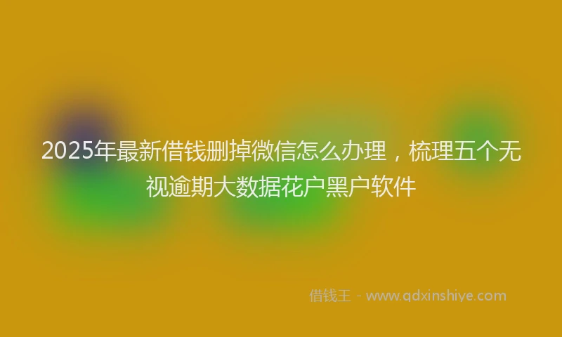 2025年最新借钱删掉微信怎么办理，梳理五个无视逾期大数据花户黑户软件