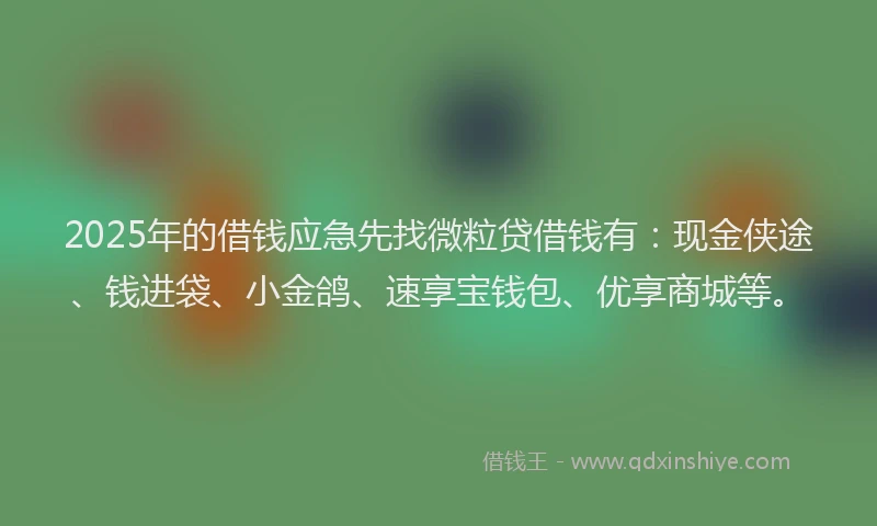2025年的借钱应急先找微粒贷借钱有：现金侠途、钱进袋、小金鸽、速享宝钱包、优享商城等。