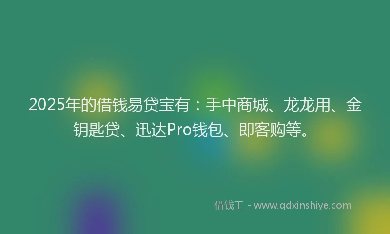 2025年的借钱易贷宝有：手中商城、龙龙用、金钥匙贷、迅达Pro钱包、即客购等。