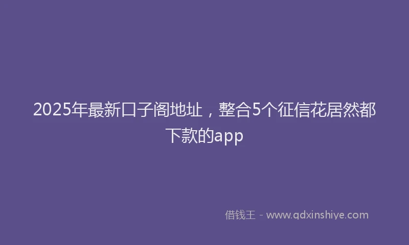 2025年最新口子阁地址，整合5个征信花居然都下款的app