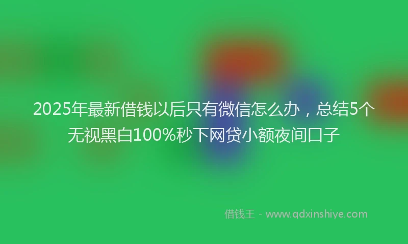 2025年最新借钱以后只有微信怎么办，总结5个无视黑白100%秒下网贷小额夜间口子