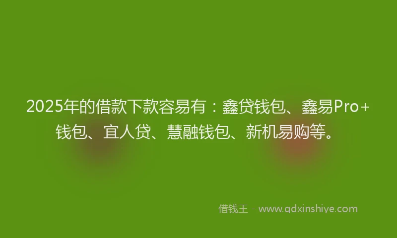 2025年的借款下款容易有：鑫贷钱包、鑫易Pro+钱包、宜人贷、慧融钱包、新机易购等。