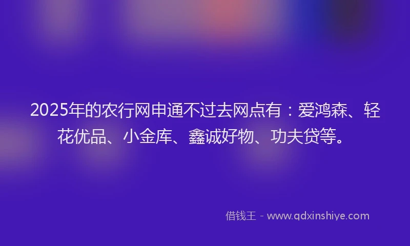 2025年的农行网申通不过去网点有：爱鸿森、轻花优品、小金库、鑫诚好物、功夫贷等。