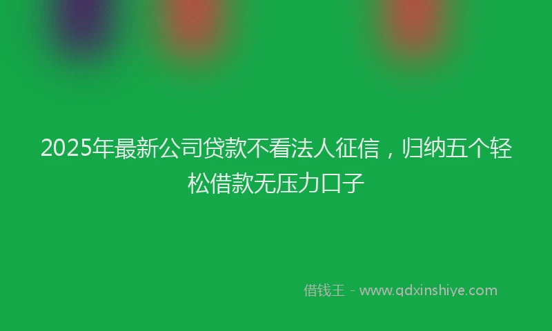 2025年最新公司贷款不看法人征信，归纳五个轻松借款无压力口子
