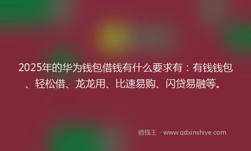 2025年的华为钱包借钱有什么要求有：有钱钱包、轻松借、龙龙用、比速易购、闪贷易融等。
