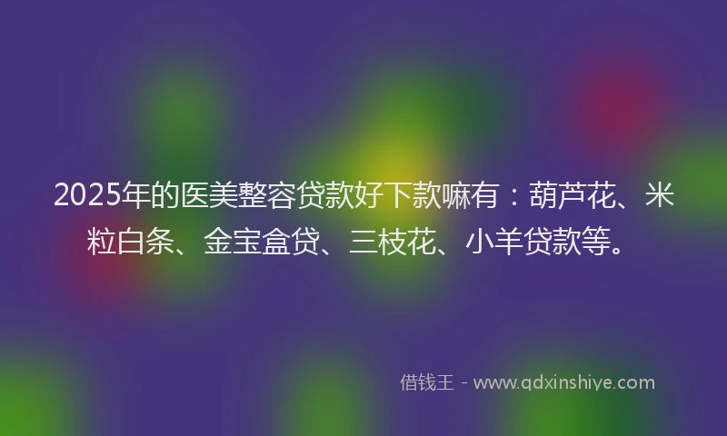 2025年的医美整容贷款好下款嘛有：葫芦花、米粒白条、金宝盒贷、三枝花、小羊贷款等。