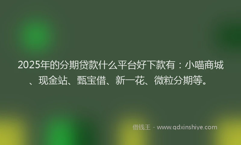 2025年的分期贷款什么平台好下款有：小喵商城、现金站、甄宝借、新一花、微粒分期等。