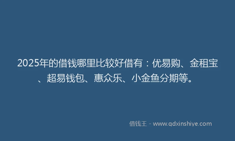 2025年的借钱哪里比较好借有：优易购、金租宝、超易钱包、惠众乐、小金鱼分期等。