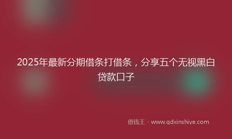 2025年最新分期借条打借条，分享五个无视黑白贷款口子