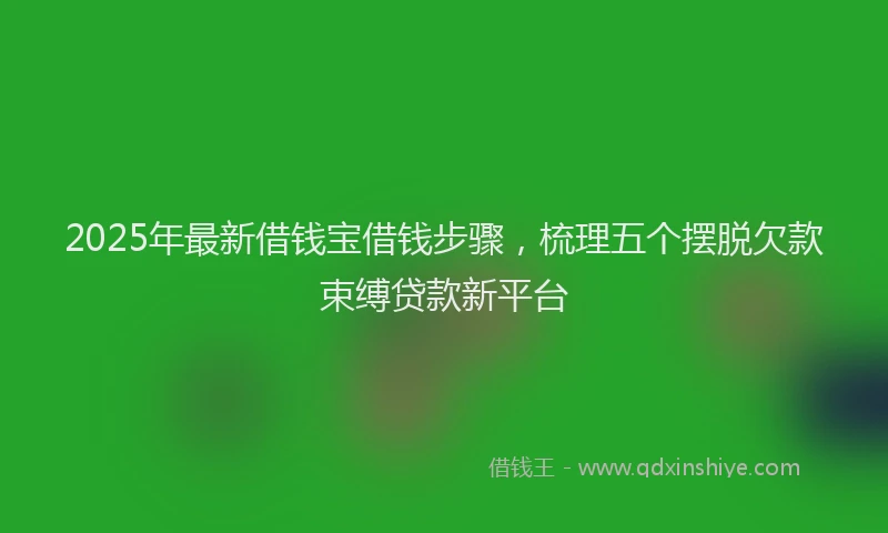 2025年最新借钱宝借钱步骤，梳理五个摆脱欠款束缚贷款新平台