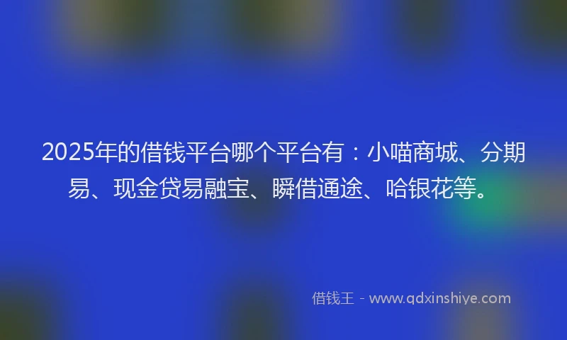 2025年的借钱平台哪个平台有：小喵商城、分期易、现金贷易融宝、瞬借通途、哈银花等。