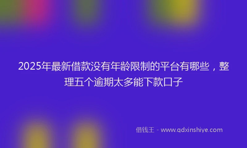 2025年最新借款没有年龄限制的平台有哪些，整理五个逾期太多能下款口子