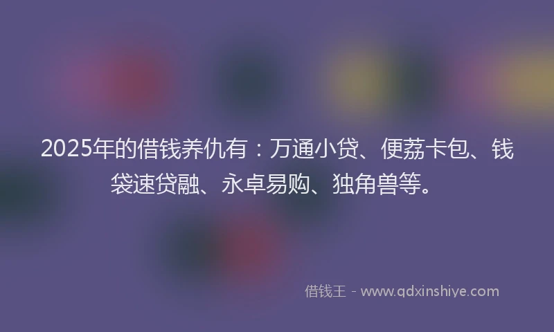 2025年的借钱养仇有：万通小贷、便荔卡包、钱袋速贷融、永卓易购、独角兽等。