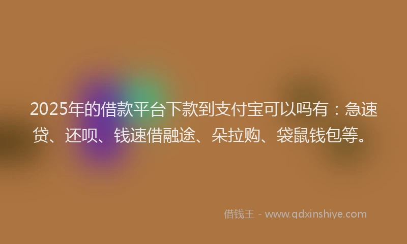 2025年的借款平台下款到支付宝可以吗有：急速贷、还呗、钱速借融途、朵拉购、袋鼠钱包等。