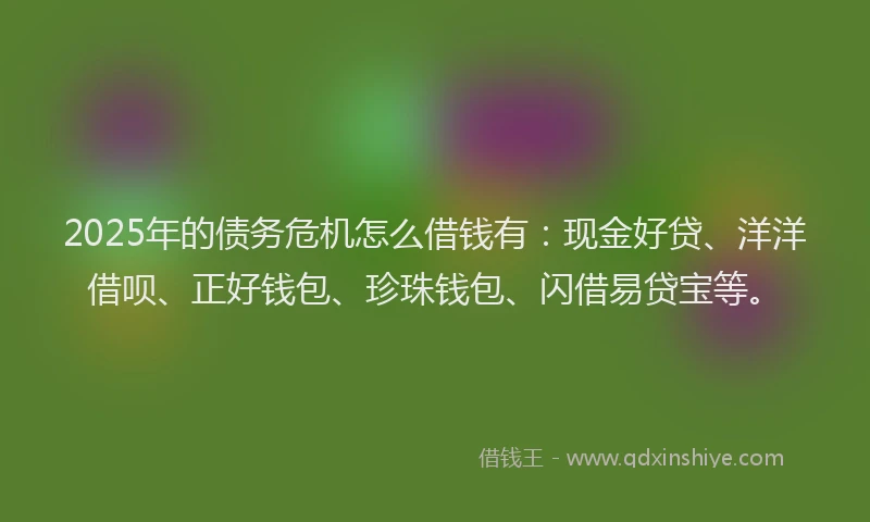 2025年的债务危机怎么借钱有：现金好贷、洋洋借呗、正好钱包、珍珠钱包、闪借易贷宝等。