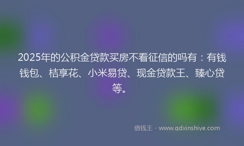 2025年的公积金贷款买房不看征信的吗有：有钱钱包、桔享花、小米易贷、现金贷款王、臻心贷等。