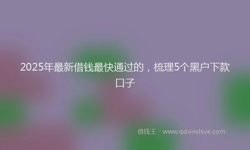 2025年最新借钱最快通过的，梳理5个黑户下款口子
