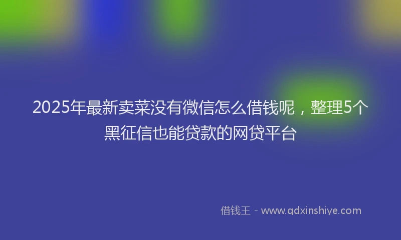 2025年最新卖菜没有微信怎么借钱呢，整理5个黑征信也能贷款的网贷平台