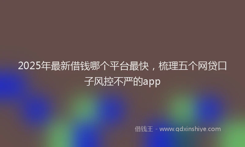 2025年最新借钱哪个平台最快，梳理五个网贷口子风控不严的app