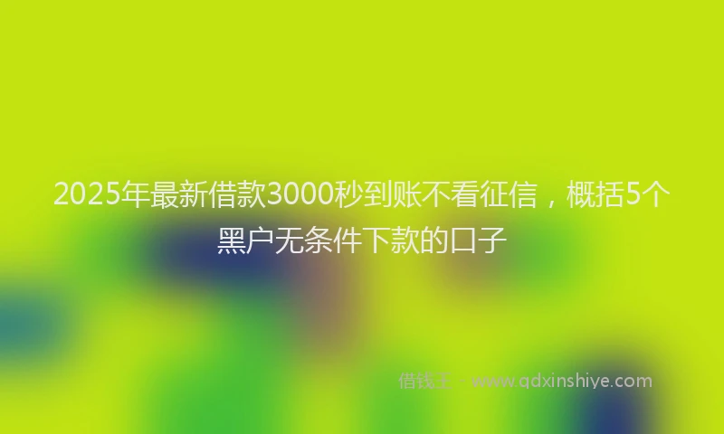 2025年最新借款3000秒到账不看征信，概括5个黑户无条件下款的口子