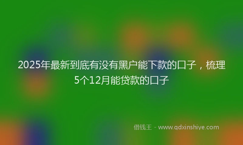 2025年最新到底有没有黑户能下款的口子，梳理5个12月能贷款的口子