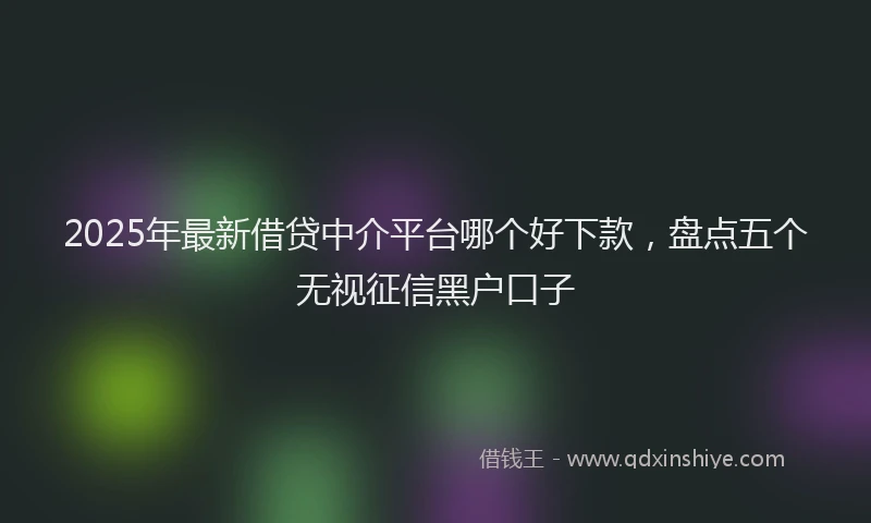 2025年最新借贷中介平台哪个好下款，盘点五个无视征信黑户口子