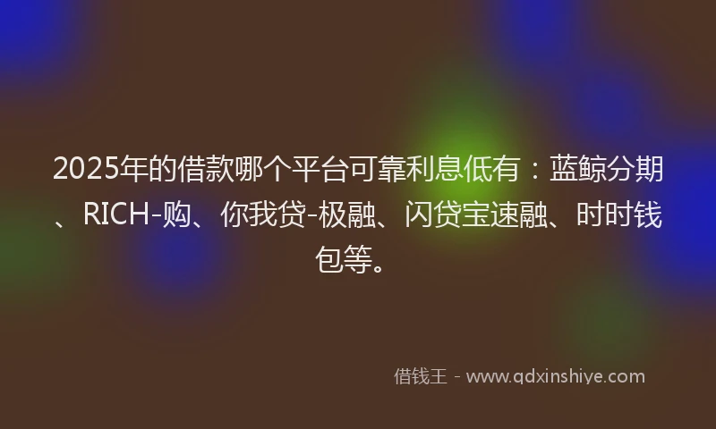 2025年的借款哪个平台可靠利息低有：蓝鲸分期、RICH-购、你我贷-极融、闪贷宝速融、时时钱包等。